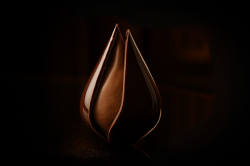 20251013_0532_Luxurious Chocolate Delight_remix_01k7dsyyxrfkqbzvapyr3sr24n (1)