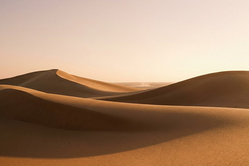 Chocolat d'apéritif de luxe — Colette Demay