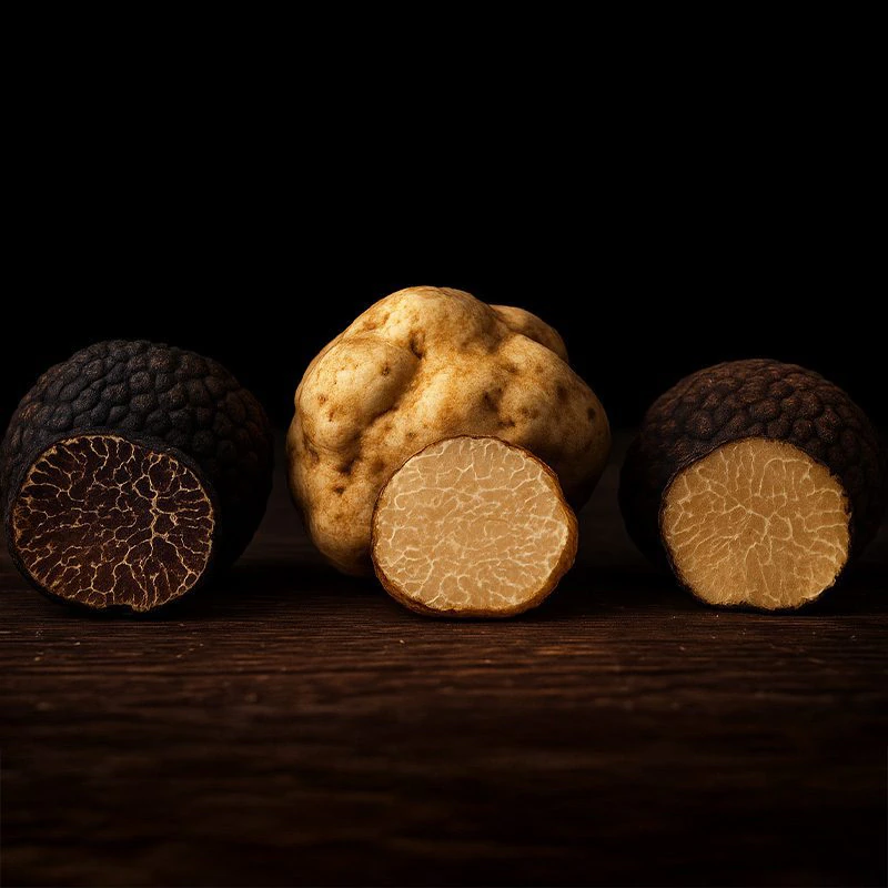 __Roasting Piedmont Hazelnuts_simple_compose_keasdjepszddcxawvm _result — Colette Demay chocolat d'apéritif