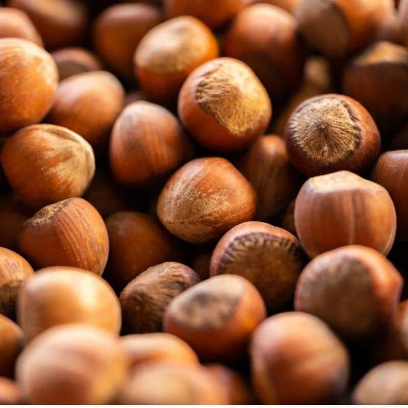 Noisettes Tonda Gentile IGP Bio — Ingrédient Colette Demay